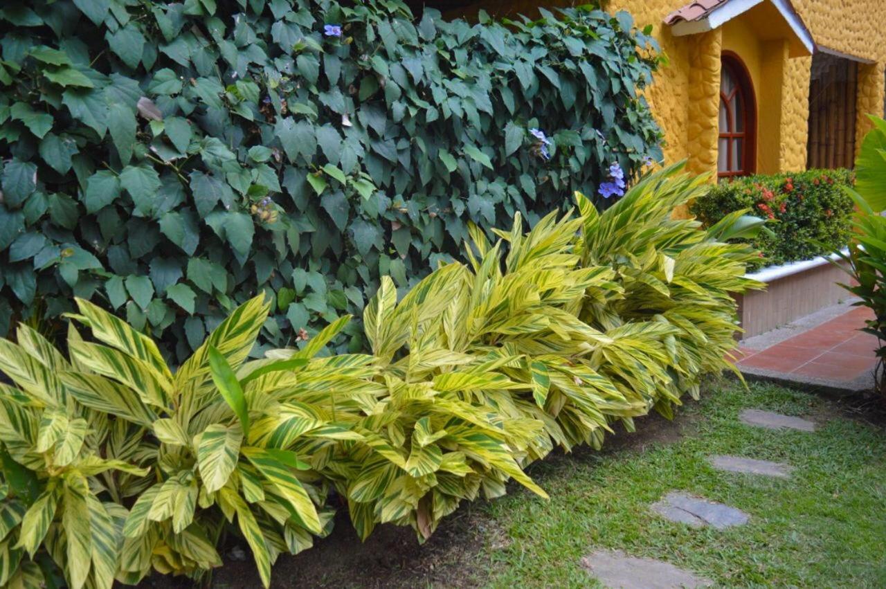 Eco Hostal Kuima El Zaino Buitenkant foto
