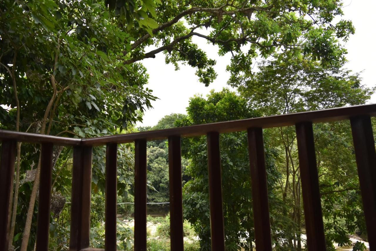 Eco Hostal Kuima El Zaino Buitenkant foto
